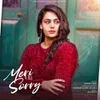 About Meri Sorry Song